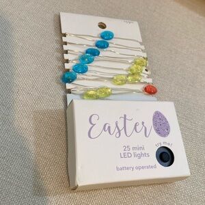 🪽🫧Easter 25 mini LED lights 🫧🪽 3AA Battery 🔋 operated